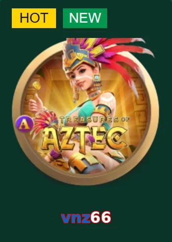 vnz66